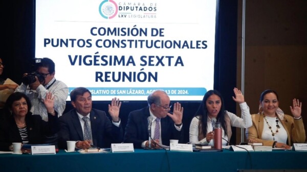 Avanza minuta para eliminar a siete órganos autónomos