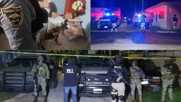 Decomisan droga y cartuchos durante un cateo en Kanasín