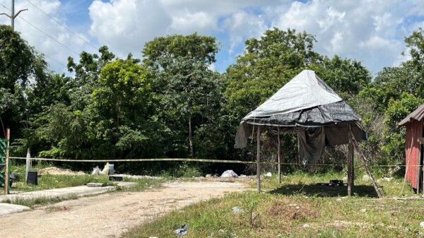 Descubren un cuerpo sin vida en área verde de la SM-215 en Cancún