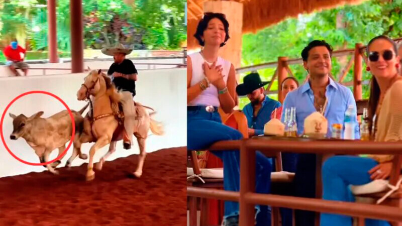 Pepe Aguilar y su familia desata polémica en redes por 'maltrato animal'