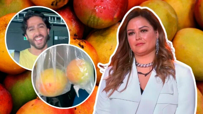 Potro le regala mangos a Mariana Echeverría