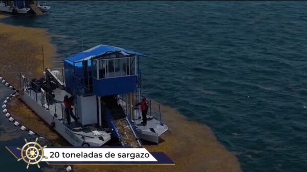 Combate al arribo de sargazo ha sido un éxito: Semar