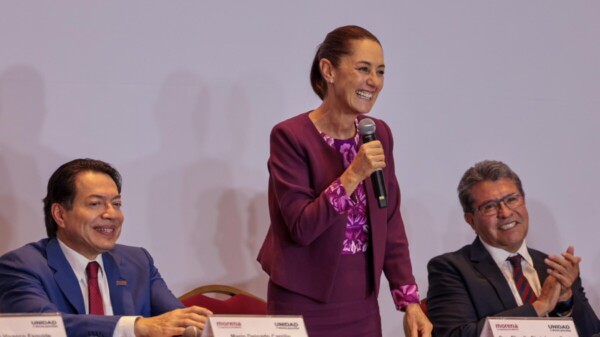 “EU y Salazar deben explicar su interés en la reforma judicial”