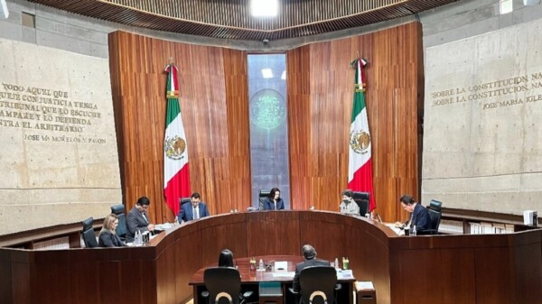 Tribunal Electoral ratificaría la mayoría de 4T en San Lázaro