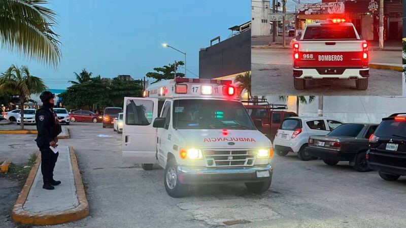 Atacan abejas a peatones en alrededores de mercado de Cancún
