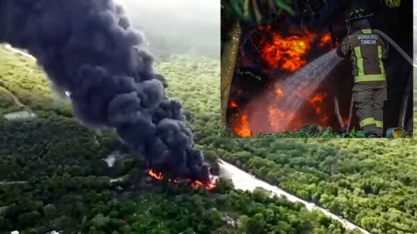 Controlan bomberos mega incendio en ZC de Isla Mujeres