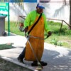 Gobierno Municipal refuerza la limpieza en los planteles escolares de Isla Mujeres