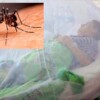 Se elevan a seis las defunciones por dengue en Oaxaca