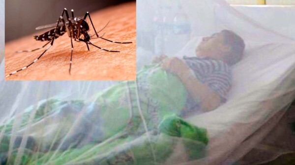 Se elevan a seis las defunciones por dengue en Oaxaca