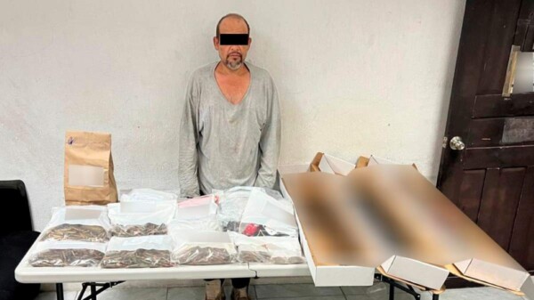 Aseguran armas, drogas y una camioneta blindada en “El Gallito”, Bacalar