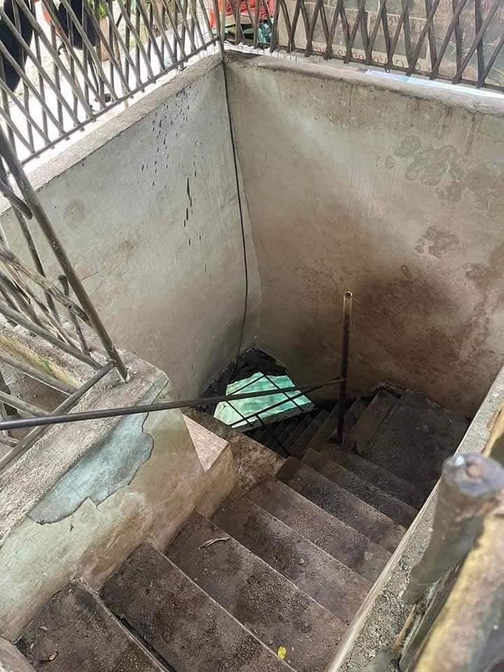 Familia de Sotuta, Yucatán, rechaza oferta millonaria tras descubrir cenote en su casa