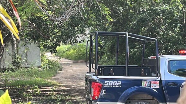 Hallan el cuerpo sin vida de un hombre en la delegación Alfredo V. Bonfil (VIDEO)