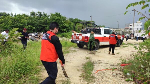 Buscan restos de personas desaparecidas a espalda de Arcos Paraíso en Cancún
