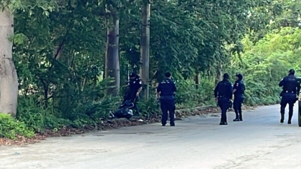 Hallan un cuerpo embolsado en la Región 237 de Cancún (VIDEO)