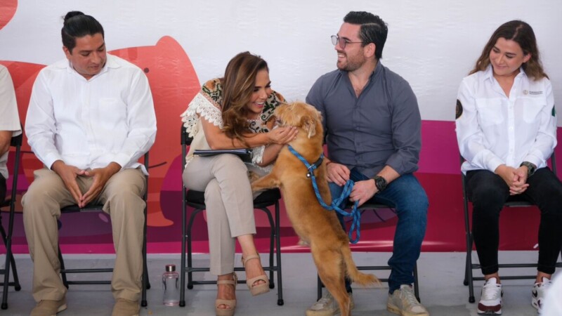 Promueve Mara Lezama en Solidaridad, el bienestar animal con Jornada de Adopción Responsable de Mascotas