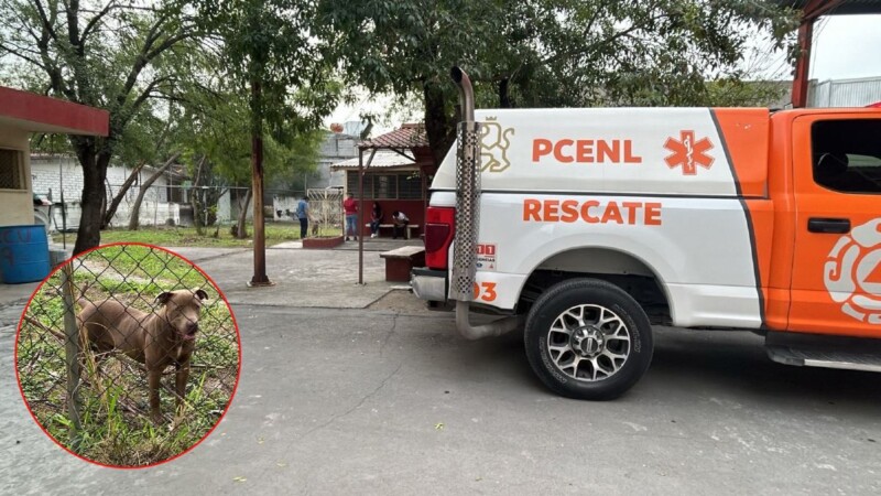 Ataque de perro pitbull deja tres heridos en una secundaria en Monterrey