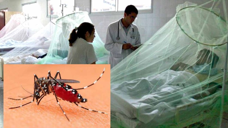 Aumentan casos de dengue en México, van mas de 75 mil a la fecha