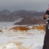 Cambio climático en Arabia Saudita; cae nevada histórica
