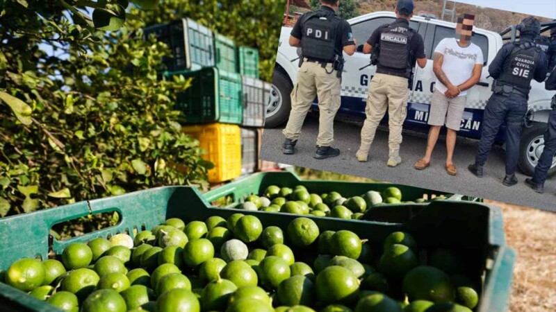 Detienen en Michoacán a 66 extorsionadores de limoneros en operación “Tierra Caliente”