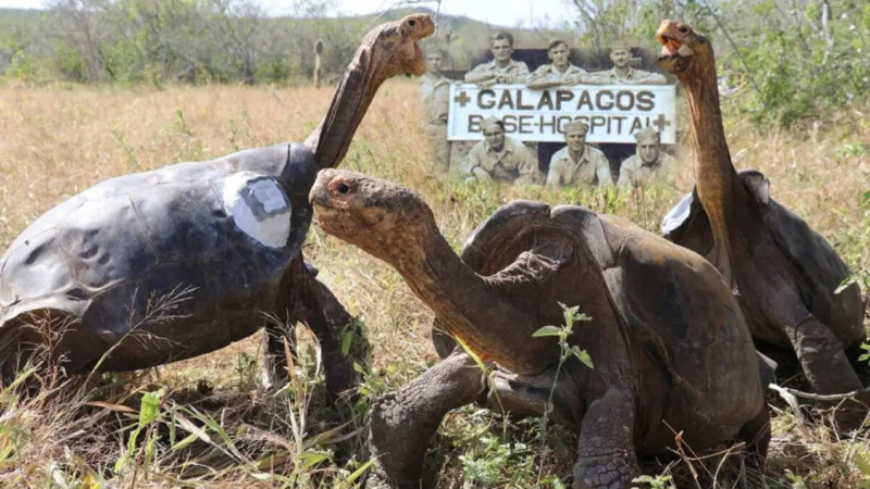 Creará EU base militar en Islas Galápagos