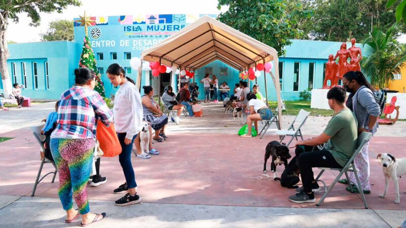 Atenea Gómez Ricalde impulsa el bienestar animal con jornada gratuita de esterilización en Zona Continental