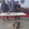 Hallan mochila con droga en terminal de autobuses de Cancún