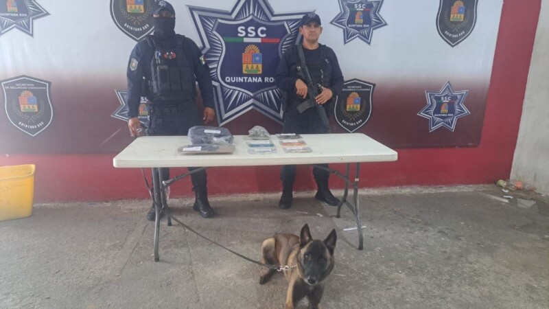 Hallan mochila con droga en terminal de autobuses de Cancún