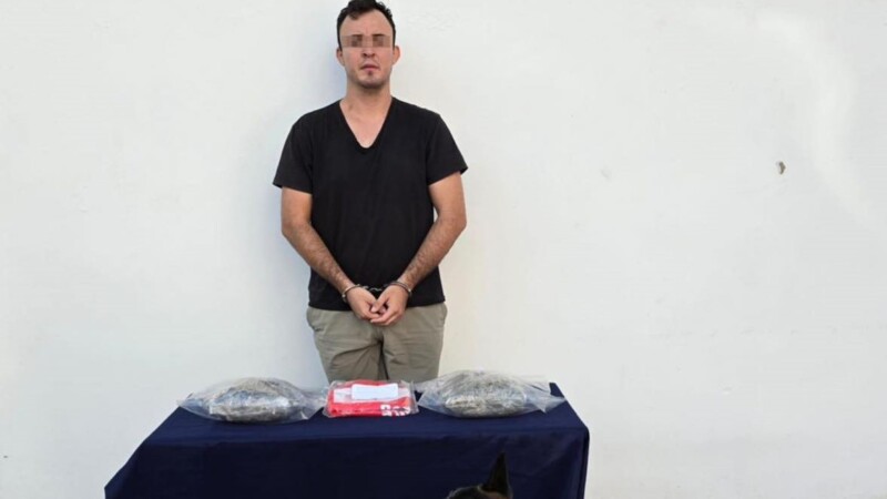 Binomio canino detecta droga a sujeto en terminal de autobuses de Playa del Carmen