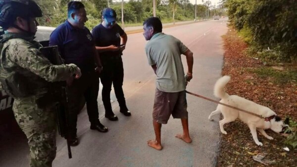 Detienen a sujeto por sustraer una mascota de una vivienda en Cozumel