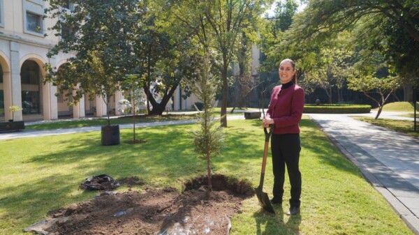 Desea Claudia Sheinbaum un feliz Año Nuevo a todos