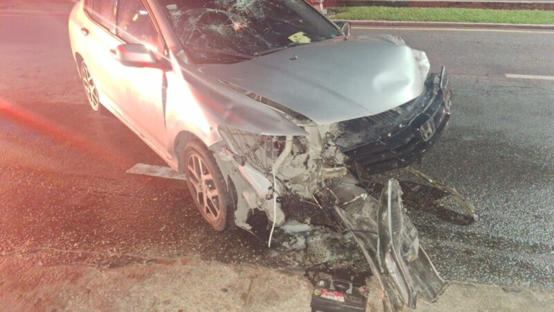 Choca conductor contra una palmera en la Zona Hotelera de Cancún