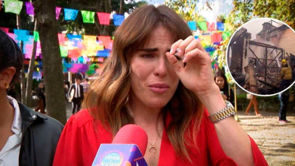 Karla Souza pierde su casa en Los Ángeles por incendios