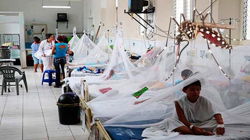 Reportan 596 casos de dengue en primeras semanas de 2025