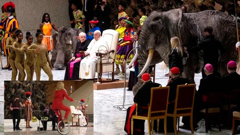 Audiencia del Papa Francisco se convierte en circo africano con todo y elefantes