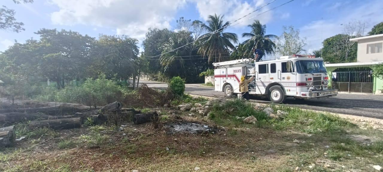 Bomberos rescatan a una persona atacada por abejas en Felipe Carrillo Puerto; el paciente fue trasladado de emergencia a un hospital.