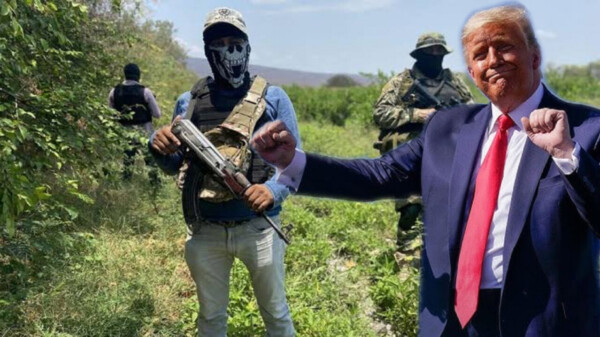 Puro show declarar terroristas a los cárteles: Vigil, ex DEA