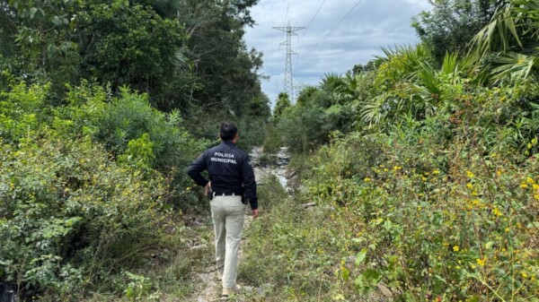 Hallan en una zona verde dos cuerpos calcinados