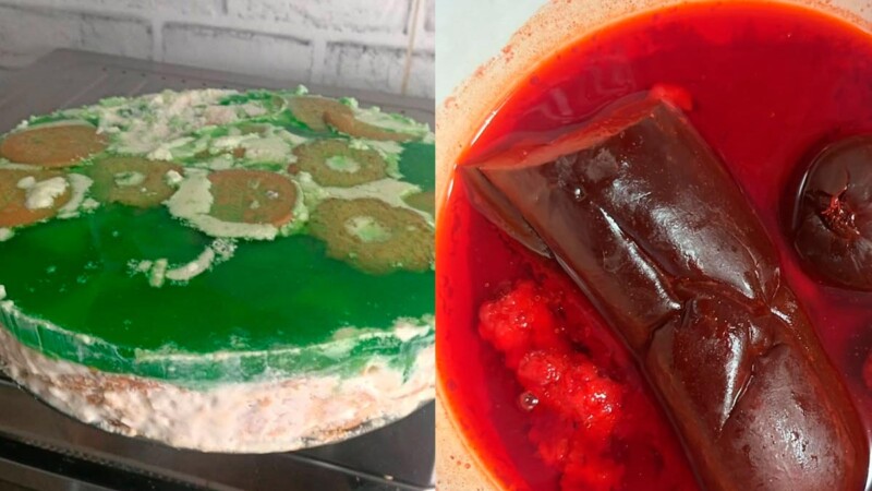 🤯 Aberraciones culinarias que dividen al internet: ¿Creatividad o crimen gastronómico? 🍽️🚨