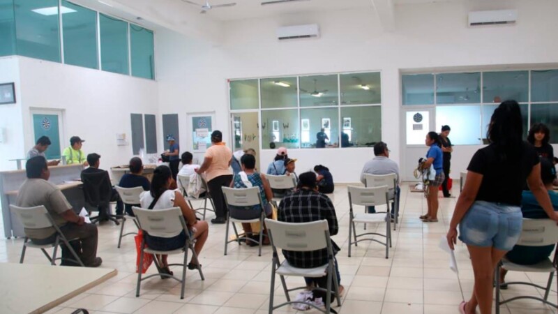 Gobierno Municipal promueve campaña de esterilización y bienestar animal en Zona Continental