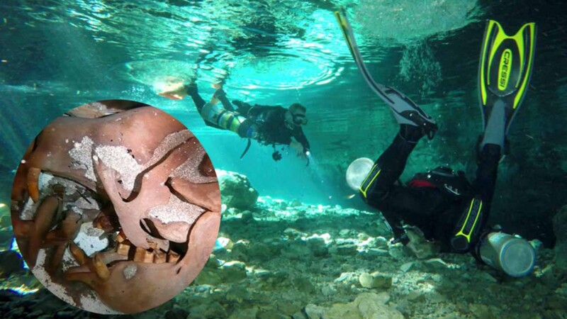 Descubren fósiles de perezoso gigante y caballos prehistóricos en cenote de Yucatán
