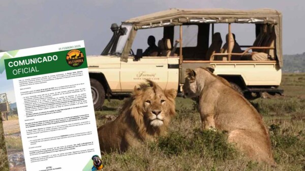 Cuidador es asesinado por leona en parque temático de Tamaulipas