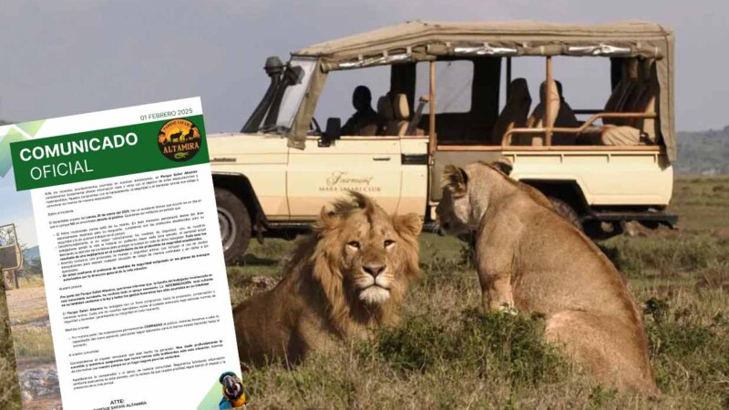 Cuidador es asesinado por leona en parque temático de Tamaulipas