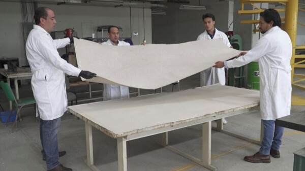 Desarrolla la UNAM paneles sustentables a base del sargazo