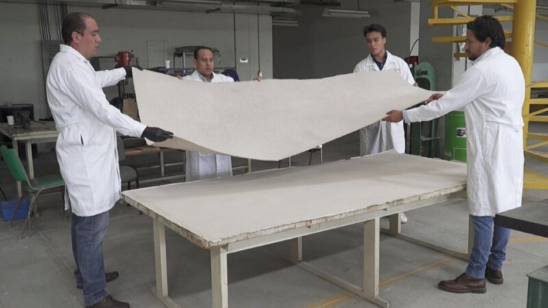 Desarrolla la UNAM paneles sustentables a base del sargazo