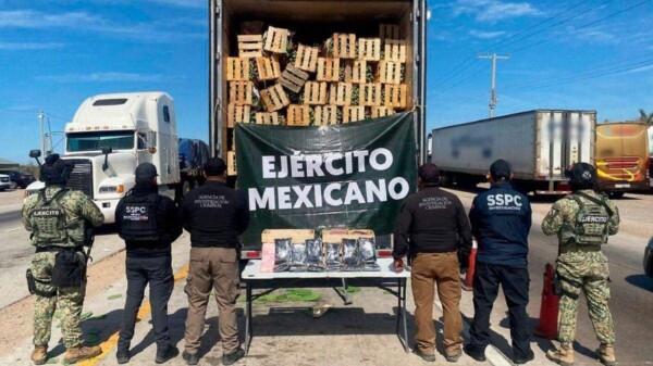 Decomisan en Sonora camión con nopales y 32 kgs. de fentanilo