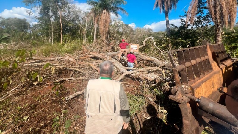 Yucatán Menonitas arrasaron con 11 hectáreas de selva en Tekax.