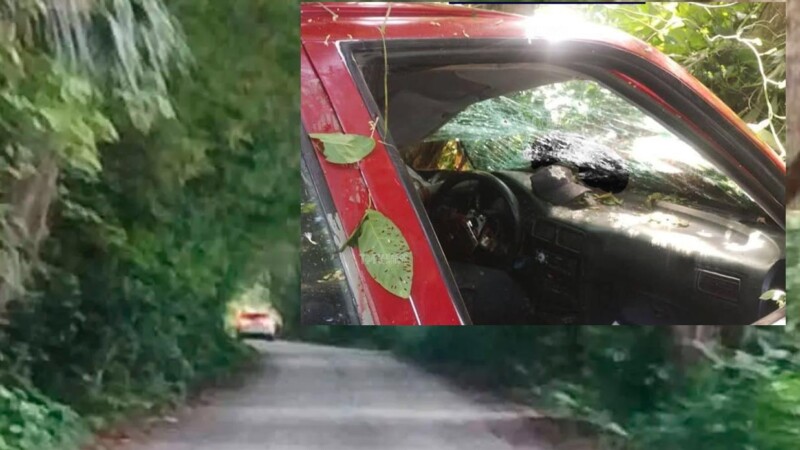 Asesinan a policía y hieren a uno más durante emboscada en Tabasco