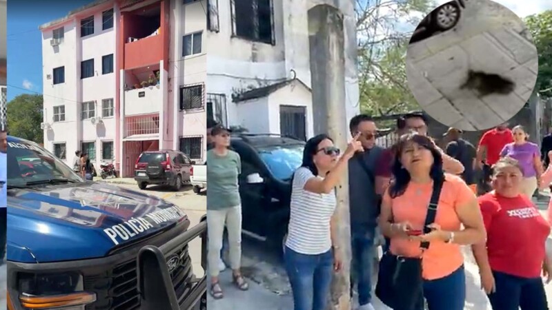 Presunto caso de maltrato animal desata indignación en Cancún