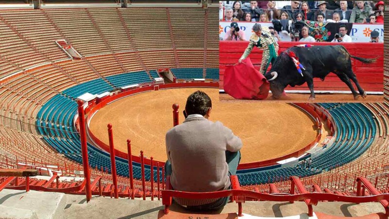 Prohiben en CDMX corridas de toros "violentas"