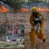 Bomberos rescatan a perrita y sus cachorros en medio de incendios en Nuevo León